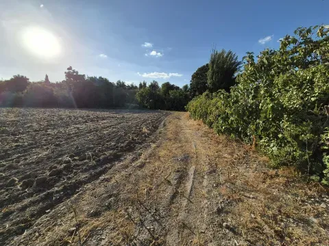 Finca rústica en venta en Loja, Granada | 4.000 m² - foto 11 de 12 (Loja)