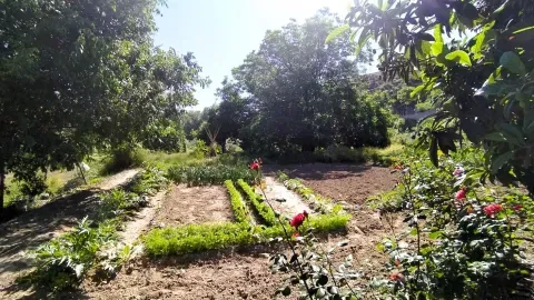 Masía en venta en Loja, Granada | Finca con piscina - foto 3 de 12 (Loja)