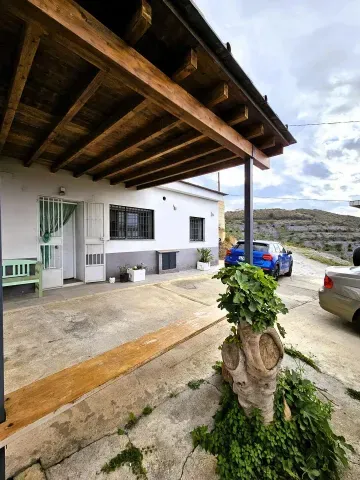 Finca de aguacates en venta en Motril | Alta rentabilidad - foto 2 de 12 (Motril)