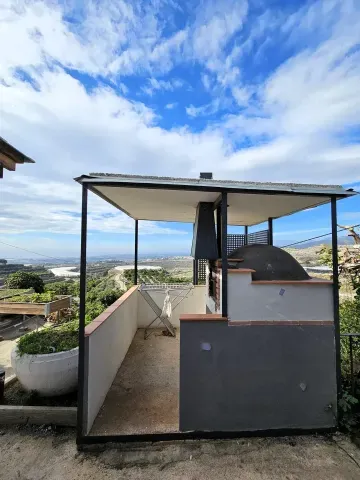 Finca de aguacates en venta en Motril | Alta rentabilidad - foto 5 de 12 (Motril)