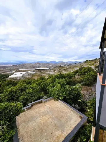 Finca de aguacates en venta en Motril | Alta rentabilidad - foto 6 de 12 (Motril)