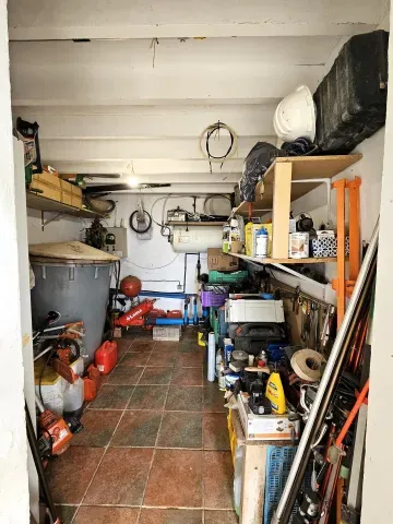 Finca de aguacates en venta en Motril | Alta rentabilidad - foto 9 de 12 (Motril)