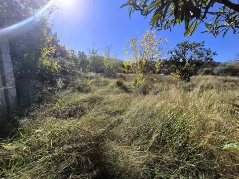 Finca Rústica en Venta en Loja, Granada | Terreno Llano - foto 3 de 12 (Loja)