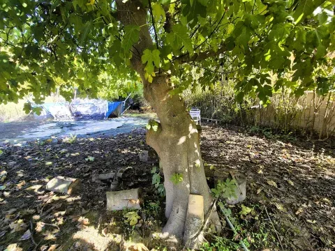 Finca Rústica en Venta en Loja, Granada | Terreno Llano - foto 12 de 12 (Loja)