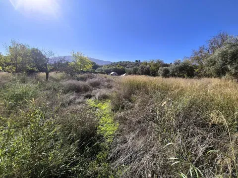 Finca Rústica en Venta en Loja, Granada | Terreno Llano - foto 8 de 12 (Loja)