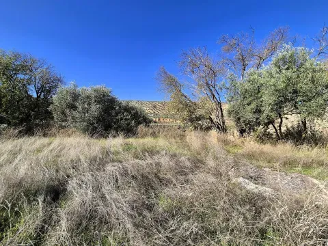 Finca Rústica en Venta en Loja, Granada | Terreno Llano - foto 9 de 12 (Loja)