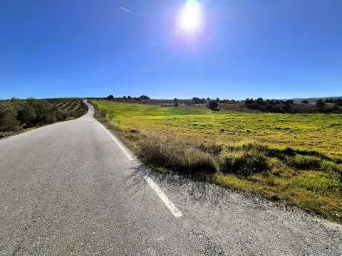 Finca rústica en venta en Alhama de Granada | 209.159 m² - foto 3 de 12 (Alhama de Granada)