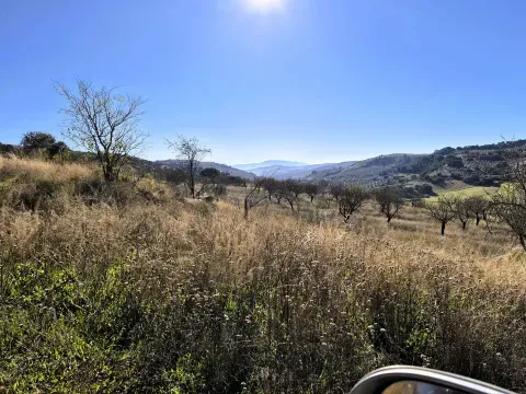 Finca rústica en venta en Alhama de Granada | 209.159 m² - foto 9 de 12 (Alhama de Granada)