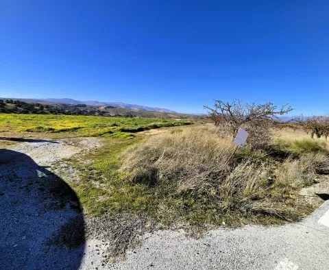 Finca rústica en venta en Alhama de Granada | 209.159 m² - foto 5 de 12 (Alhama de Granada)