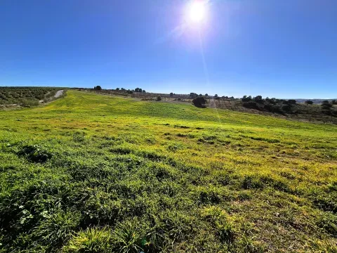 Finca rústica en venta en Alhama de Granada | 209.159 m² - foto 6 de 12 (Alhama de Granada)