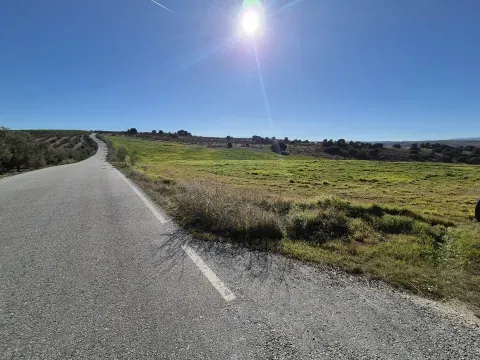 Finca rústica en venta en Alhama de Granada | 209.159 m² - foto 4 de 12 (Alhama de Granada)