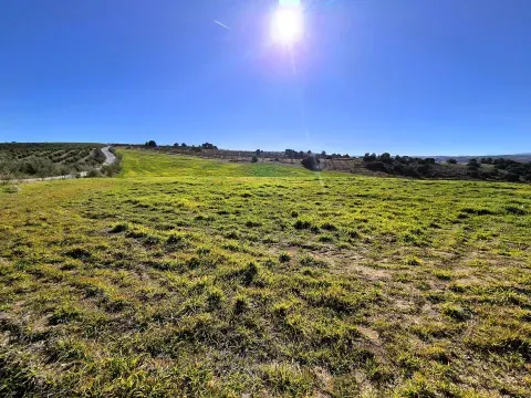 Finca Rustica en Alhama de Granada