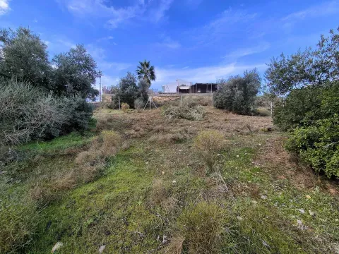 Terrenos en venta en Riofrío, Loja | Desde 26.900€ - foto 6 de 12 (Loja)