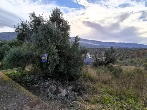 Terrenos en venta en Riofrío, Loja | Desde 26.900€ - foto 9 de 12 (Loja)