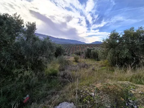 Terrenos en venta en Riofrío, Loja | Desde 26.900€ - foto 10 de 12 (Loja)
