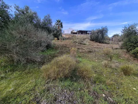 Terrenos en venta en Riofrío, Loja | Desde 26.900€ - foto 3 de 12 (Loja)