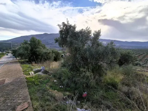 Terrenos en venta en Riofrío, Loja | Desde 26.900€ - foto 11 de 12 (Loja)