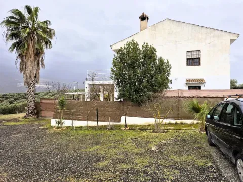 Finca de olivos y cortijo