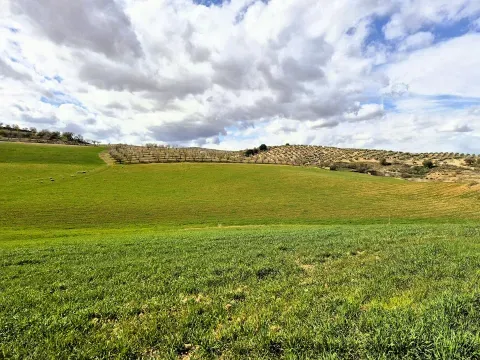 Finca Rústica de Cultivo