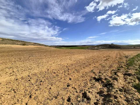 Finca rústica de 226 ha en venta en Chimeneas, Granada - foto 9 de 12 (Chimeneas)