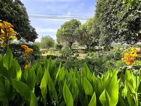 Finca Rústica con Casa Señorial en Loja, Granada - foto 9 de 12 (Loja)