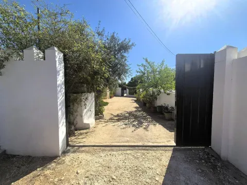 Finca rústica con dos casas y piscina en Loja, Granada - foto 7 de 12 (Loja)