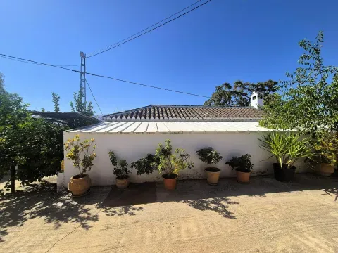 Finca rústica con dos casas y piscina en Loja, Granada - foto 11 de 12 (Loja)