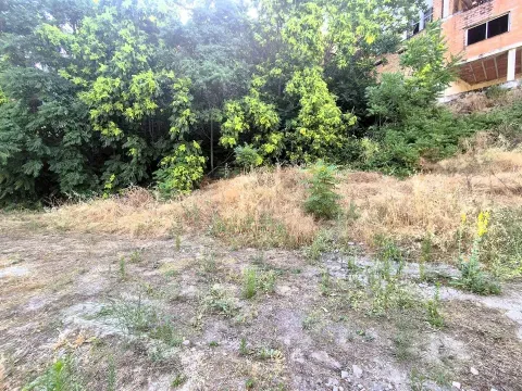 Terreno Urbano en Venta en Algarinejo | 1.373 m² - foto 7 de 10 (Algarinejo)