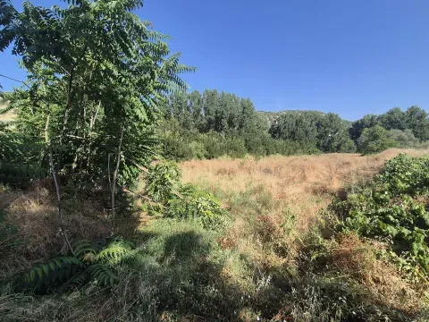 Finca rústica en venta en Algarinejo, Granada | 8.000 m² - foto 5 de 7 (Algarinejo)