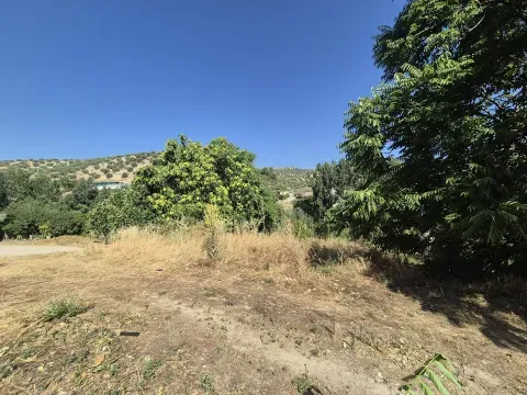 Finca rústica en venta en Algarinejo, Granada | 8.000 m² - foto 2 de 7 (Algarinejo)