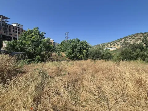Finca rústica en venta en Algarinejo, Granada | 8.000 m² - foto 4 de 7 (Algarinejo)