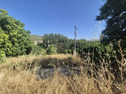 Finca rústica en venta en Algarinejo, Granada | 8.000 m² - foto 3 de 7 (Algarinejo)
