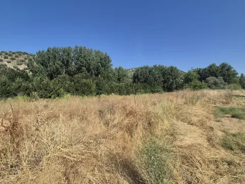 Finca rústica en venta en Algarinejo, Granada | 8.000 m² - foto 7 de 7 (Algarinejo)