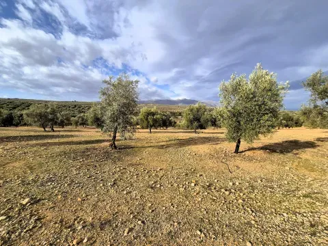 Finca rústica ecológica en venta en Salar, Granada - foto 4 de 12 (Salar)
