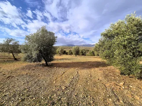 Finca rústica ecológica en venta en Salar, Granada - foto 3 de 12 (Salar)