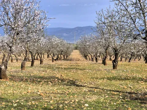 Finca rústica ecológica en venta en Salar, Granada - foto 12 de 12 (Salar)