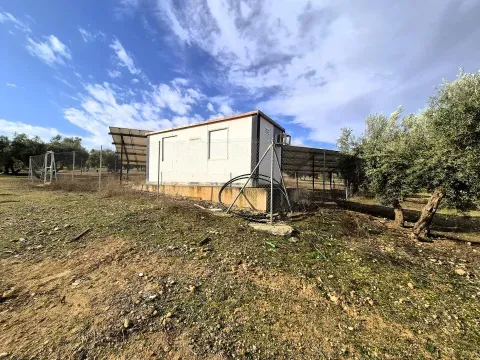 Finca rústica ecológica en venta en Salar, Granada - foto 8 de 12 (Salar)