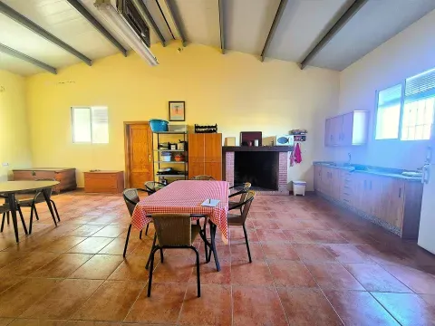 Finca mit Olivenhain und Haus in Loja, Granada kaufen - Foto 4 von 12 (Loja)