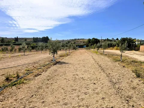 Finca de Olivos en Venta en Moraleda, Granada - foto 2 de 7 (Moraleda de Zafayona)