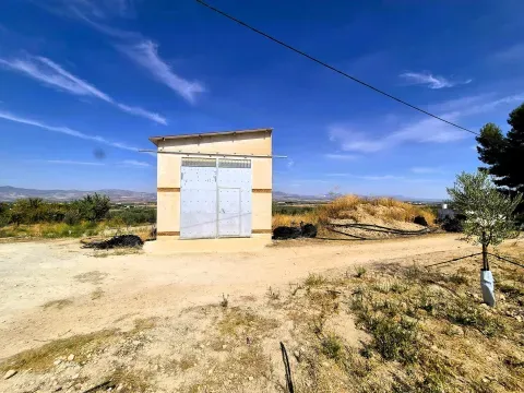 Finca de Olivos en Venta en Moraleda, Granada - foto 4 de 7 (Moraleda de Zafayona)