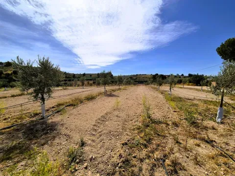 Finca de Olivos en Venta en Moraleda, Granada - foto 5 de 7 (Moraleda de Zafayona)