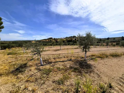 Finca de Olivos en Venta en Moraleda, Granada - foto 6 de 7 (Moraleda de Zafayona)