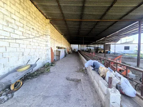 3,405 m² Land for Sale in Íllora, Granada with Barn - photo 10 of 12 (Íllora)