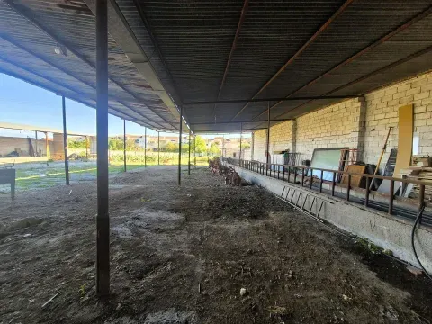 3,405 m² Land for Sale in Íllora, Granada with Barn - photo 2 of 12 (Íllora)