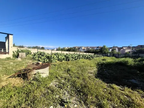 3,405 m² Land for Sale in Íllora, Granada with Barn - photo 3 of 12 (Íllora)