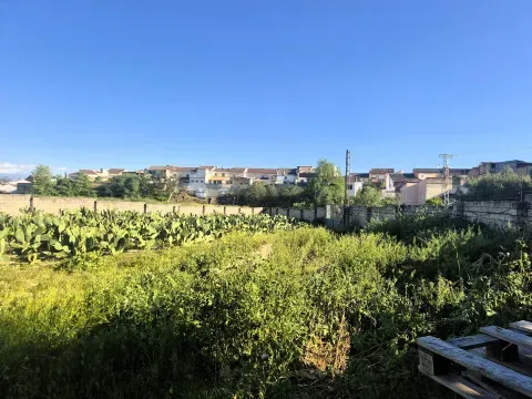 3,405 m² Land for Sale in Íllora, Granada with Barn - photo 7 of 12 (Íllora)
