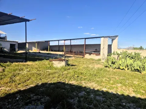 3,405 m² Land for Sale in Íllora, Granada with Barn - photo 9 of 12 (Íllora)