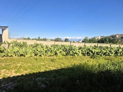 3,405 m² Land for Sale in Íllora, Granada with Barn - photo 8 of 12 (Íllora)