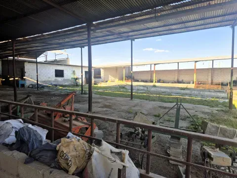 3,405 m² Land for Sale in Íllora, Granada with Barn - photo 11 of 12 (Íllora)