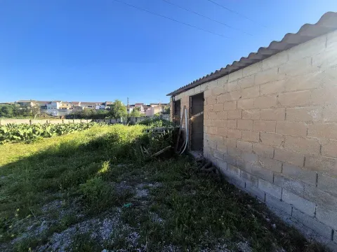 3,405 m² Land for Sale in Íllora, Granada with Barn - photo 6 of 12 (Íllora)